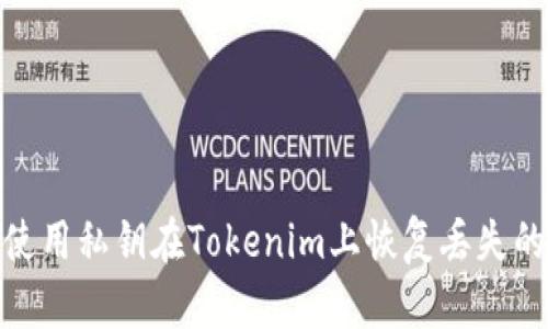 如何使用私钥在Tokenim上恢复丢失的资金