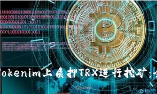 如何在Tokenim上质押TRX进行挖矿：全面指南