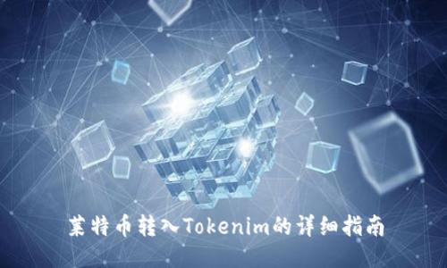 莱特币转入Tokenim的详细指南