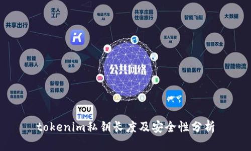 tokenim私钥长度及安全性分析