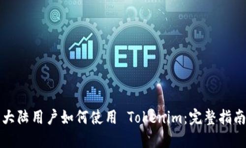 大陆用户如何使用 Tokenim：完整指南