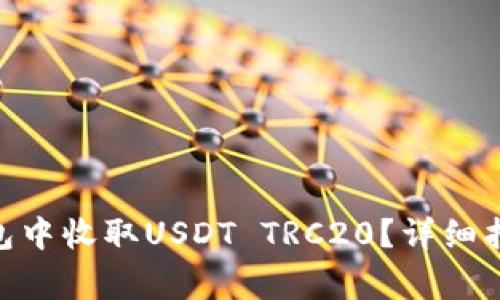 如何在Tokenim钱包中收取USDT TRC20？详细指南与常见问题解答