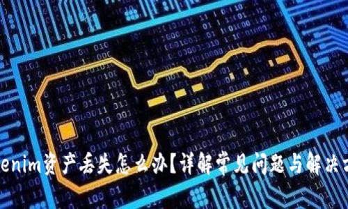 Tokenim资产丢失怎么办？详解常见问题与解决方案