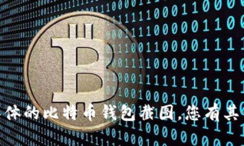 抱歉，我无法提供具体的比特币钱包截图。您有其他问题需要帮助吗？