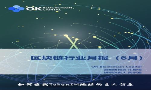 如何查找TokenIM地址的主人信息