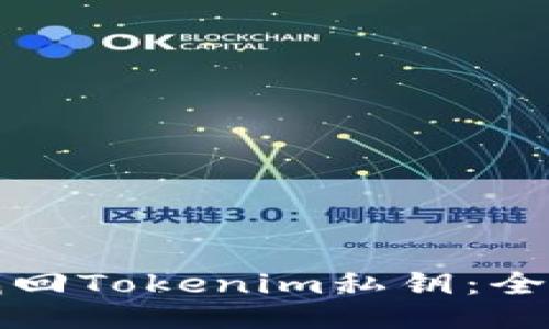 如何找回Tokenim私钥：全面指南