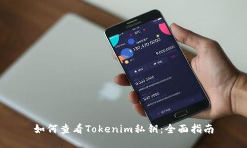 如何查看Tokenim私钥：全面指南