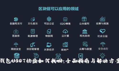 钱包USDT被盗如何找回：全面指南与解决方案