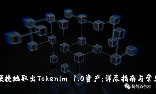 如何安全便捷地取出Tokenim 1.0资产：详尽指南与常见问题解答