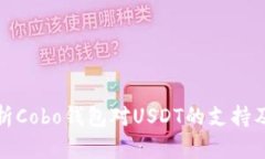 全面解析Cobo钱包对USDT的支持及其优势