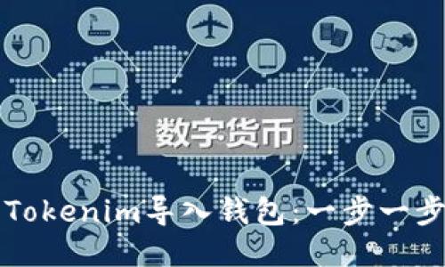 如何将Tokenim导入钱包：一步一步的指南