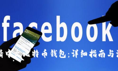 如何申请中文比特币钱包：详细指南与注意事项