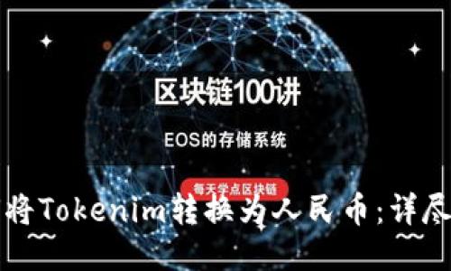 如何将Tokenim转换为人民币：详尽指南
