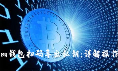 如何使用Tokenim钱包扫码导出私钥：详解操作步骤与注意事项