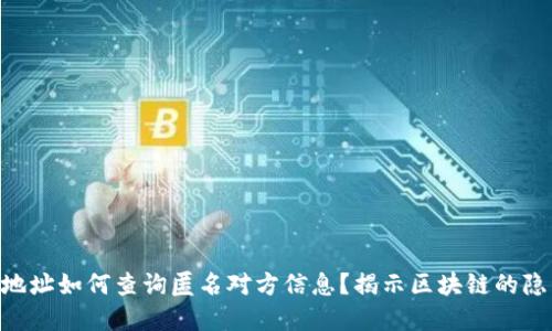 Tokenim地址如何查询匿名对方信息？揭示区块链的隐私与透明