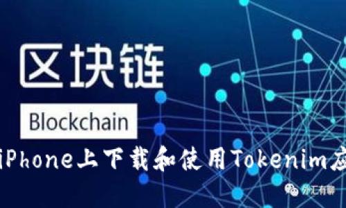 如何在iPhone上下载和使用Tokenim应用程序