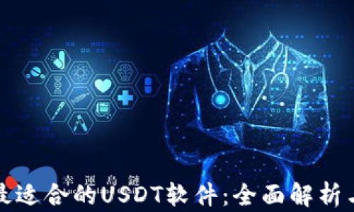 
选择最适合的USDT软件：全面解析与推荐