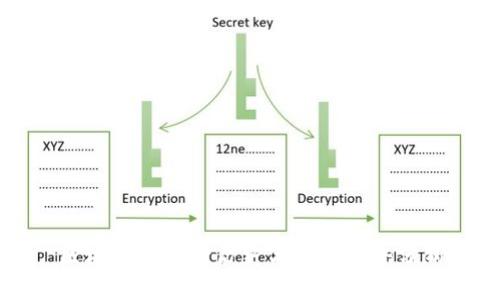 区块链的发行历史与发展趋势分析